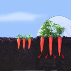 Kweekfolie / Tunnelfolie - 2 × 10 M -Tuinbenodigdheden 1534088192 2 600