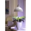 Groeilamp Led Florabooster 500 - 6,5W - Wit 1 Groeilamp Led Florabooster 500 - 6,5W - Wit -Tuinbenodigdheden 1677504262 1 600