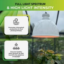 Groeilamp Led Florabooster 500 - 6,5W - Wit 11 Groeilamp Led Florabooster 500 - 6,5W - Wit -Tuinbenodigdheden 1677504263 4 600