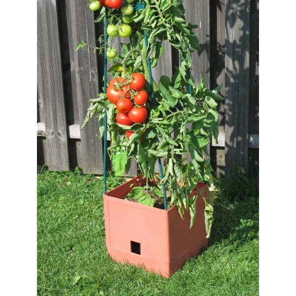 Plantentoren Maxitom Met Waterreservoir - Terracotta 5 Plantentoren Maxitom Met Waterreservoir - Terracotta - Afbeelding 3