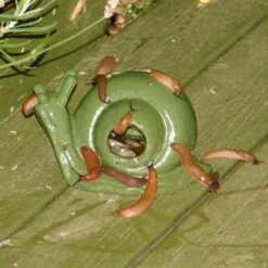 ESSCHERT DESIGN Slakkenval Keramiek - Groen -Tuinbenodigdheden actie super slakkenval 1484052737 1 600