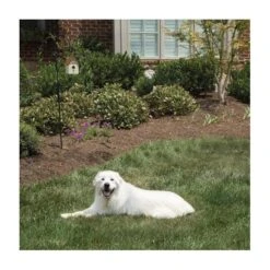 Pet Safe Outdoor Anti-blafhuisje 10 Pet Safe Outdoor Anti-blafhuisje -Tuinbenodigdheden antiblafhuisje 1484054468 4 600