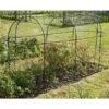 Fruitkooi Lang 3 × 1 × 1,5 M -Tuinbenodigdheden fruitkooi 3 x 1 x 15m 1484054956 1 600