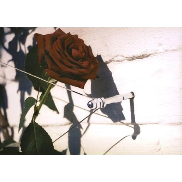 Geleidingssysteem Voor Klimplanten Palissa 5 Geleidingssysteem Voor Klimplanten Palissa - Afbeelding 3