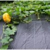 Gronddoek 2 M × 5 M (90 G/m²) -Tuinbenodigdheden gronddoek 2 m x 5 m 100gm 1553159982 1 600