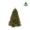 Kerstboom Forest Frosted 185 Cm Groen - Triumph Tree -Tuinbenodigdheden kerstboom forest frosted 185 cm groen 1663571015 1 600