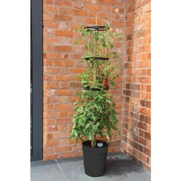 Tomatentoren 150 Cm Met Bewateringssysteem - Grijs 4 Tomatentoren 150 Cm Met Bewateringssysteem - Grijs - Afbeelding 2