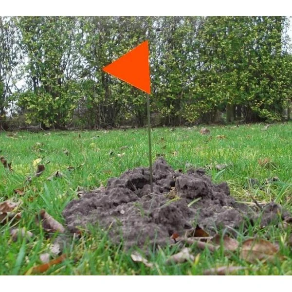 Markeervlaggen / Plantlabels - Set Van 5 Stuks 4 Markeervlaggen / Plantlabels - Set Van 5 Stuks - Afbeelding 2