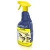 EDIALUX Mierenspray 1 Liter 2 EDIALUX Mierenspray 1 Liter -Tuinbenodigdheden mierenspray 1 l 1484056285 1 600