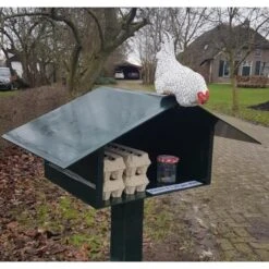 Nieuwsgierige Kip Tuinbeeld -Tuinbenodigdheden nieuwsgierige kip 1609930328 1 600