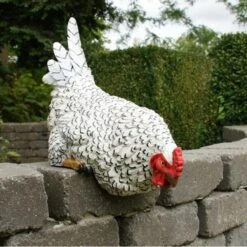 Nieuwsgierige Kip Tuinbeeld -Tuinbenodigdheden nieuwsgierige tafelkip 1568377839 3 600