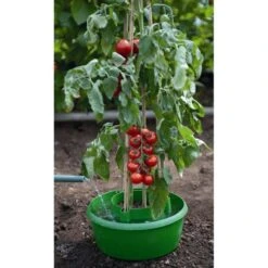 Plant- En Gietpot Groen - Set Van 3 Stuks -Tuinbenodigdheden plant en gietpot 1484054799 4 600