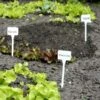 Plantenbordjes Extra Hoog - Set Van 5 Stuks -Tuinbenodigdheden plantenlabels wit 1484056717 1 600