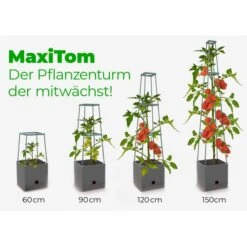 Plantentoren Maxitom Met Waterreservoir - Antraciet -Tuinbenodigdheden plantentoren maxitom antraciet 1677571236 4 600