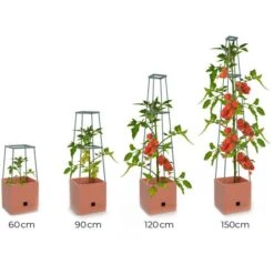 Plantentoren Maxitom Met Waterreservoir - Terracotta 13 Plantentoren Maxitom Met Waterreservoir - Terracotta -Tuinbenodigdheden plantentoren maxitom terracotta 1680165024 1 600