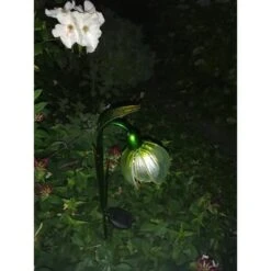 Sneeuwklokje Als Solar Tuinlamp 9 Sneeuwklokje Als Solar Tuinlamp -Tuinbenodigdheden sneeuwklokje als solar tuinlamp 1560513855 1 600