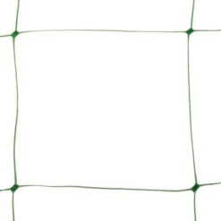 Klimgaas Erwten En Bonen 2m × 10 M -Tuinbenodigdheden steungaas klimgaas 2 x 10 meter 1484065488 1 600