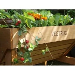 Vegtrug Verhoogde Kweektafel - 1 × 0,8 × 0,8 M -Tuinbenodigdheden vegtrug 1 m 1484054491 4 600