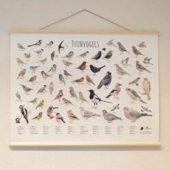 Wanddoek Tuinvogels -Tuinbenodigdheden wandkaart tuinvogels 1541600712 1 600